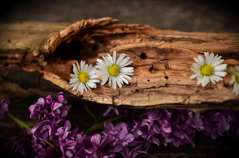 Pallet Garden Furniture
